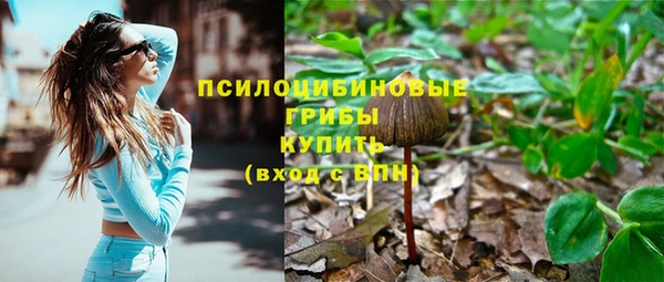 марки nbome Алзамай