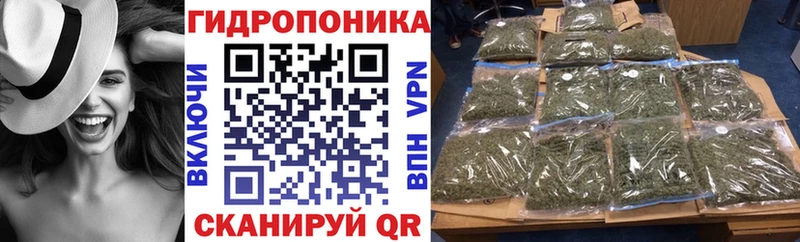 blacksprut как зайти  Ижевск  Марихуана сатива 